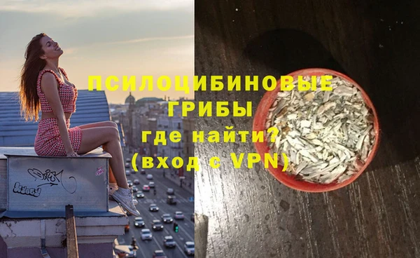 ешки Краснослободск