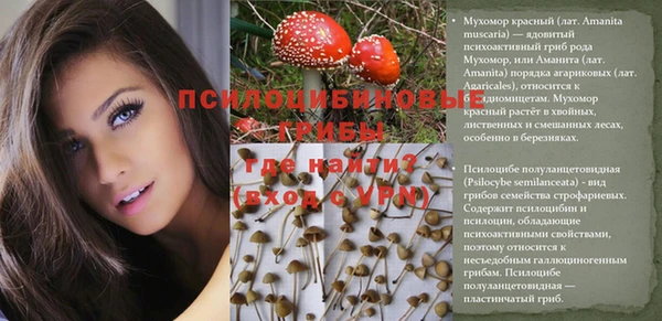 эйфоретик Корсаков