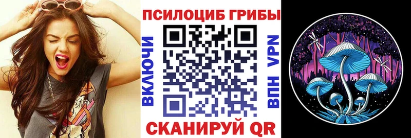 Галлюциногенные грибы Cubensis Почеп