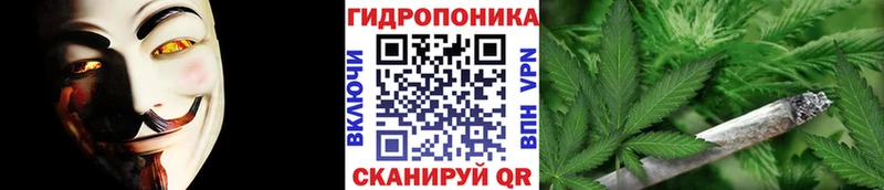 Бошки марихуана марихуана  наркотики  мега как войти  Почеп 